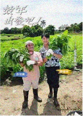 免费在线看视频 这！就是街舞